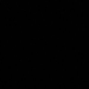 Meet your Posher, Max